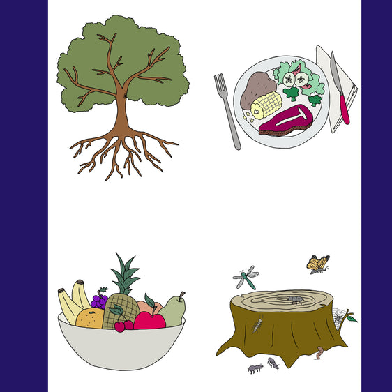 Printable Thanksgiving Scavenger Hunt game with a tree, tree trunk, fruits  bowel and dinner plate