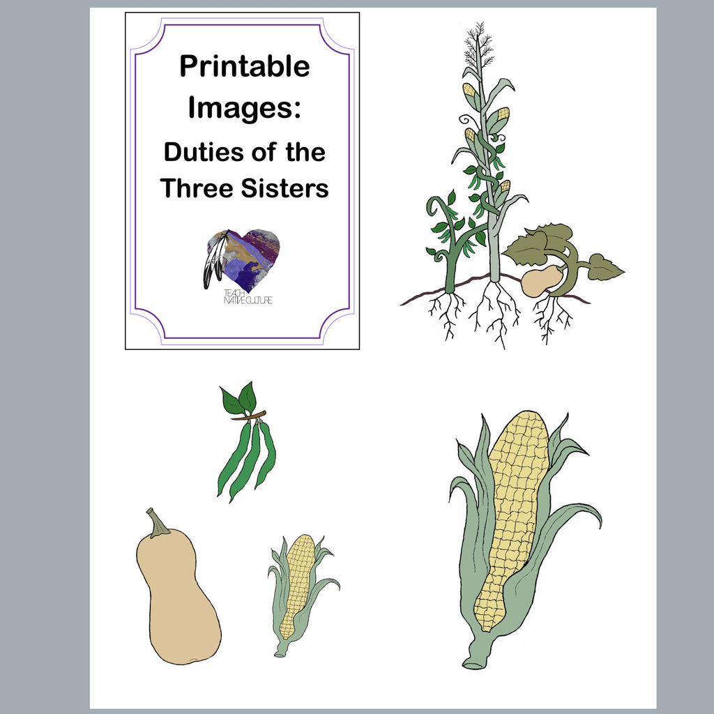 Printable of a corn, squash and plant and the words Duties of the Three Sisters