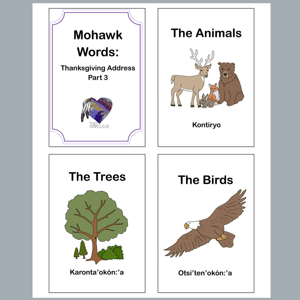 Vocabulary Words of The Animlas, The Trees, and the birds